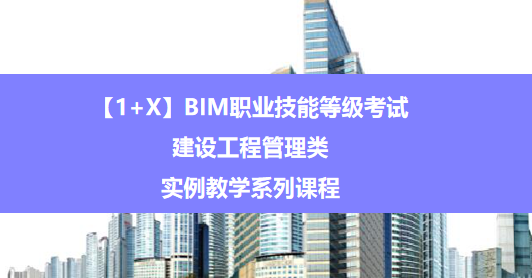 【1+X】BIM職業(yè)技能等級(jí)考試——（建設(shè)工程管理類）實(shí)例教學(xué)系列課程